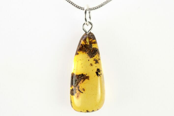 Polished Baltic Amber Pendant (Necklace) - Contains Aphid & Flora! #275774